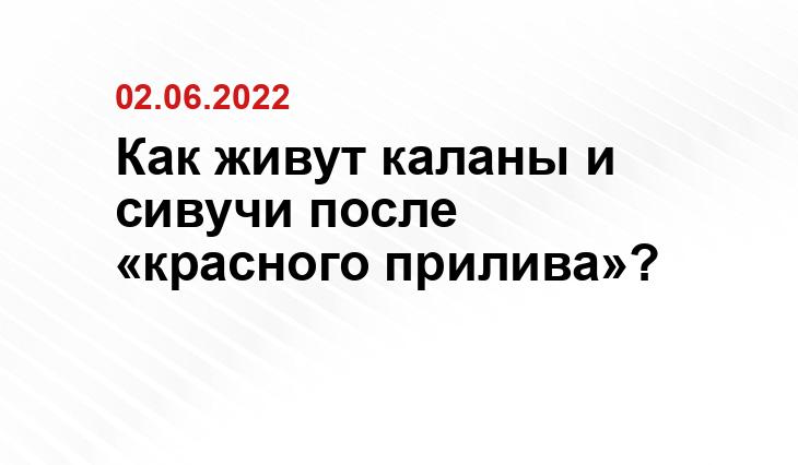 komandorsky.ru
На снимке: Калан и антур.
- Алексей Перелыгин