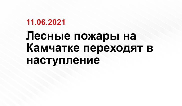 kamgov.ru