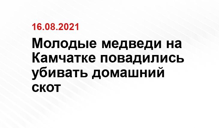 yandex.ru