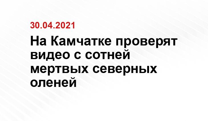 yandex.ru