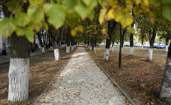 Что можно и нельзя 5 ноября в День Якова: не делать резких движений, заговорить урожай и молитва