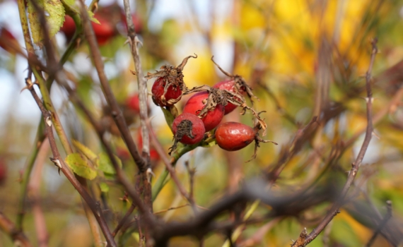 Что приготовила Вселенная трем знакам на 5 ноября 2025 — их ждет финансовый переворот