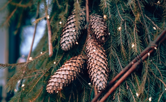 Новогодние подарки: мой путь к оригинальности и красоте — делюсь идеями, которые порадуют близких Новогодние подарки: мой путь к оригинальности и красоте — делюсь идеями, которые порадуют близких