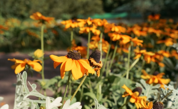 Гороскоп на 5 декабря: какой знак зодиака ждет денежная удача, а кому лучше молчать