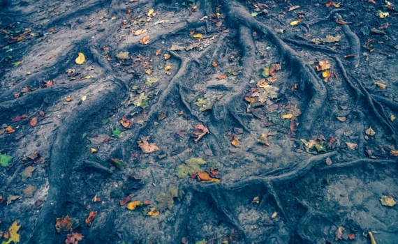 5 декабря: какой знак зодиака получит щедрый денежный подарок судьбы? Ответ в картах Таро