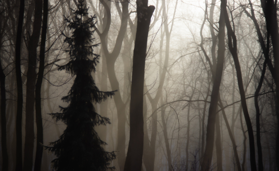 Суперлуние 5 декабря 2025: что можно и нельзя — как превратить слова в оберег, а не в проклятие