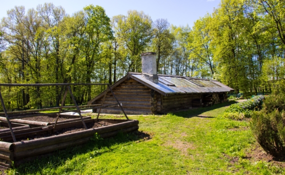 5 ошибок, которые превращают погреб на даче в болото: проверьте перед копкой 5 ошибок, которые превращают погреб на даче в болото: проверьте перед копкой