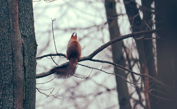 Шапошников: Экоцентры обладают огромным потенциалом для решения просветительских задач Шапошников: Экоцентры обладают огромным потенциалом для решения просветительских задач